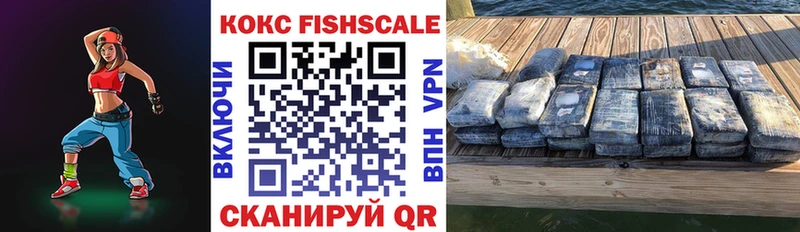 купить наркотик  Фокино  hydra ONION  COCAIN Fish Scale 