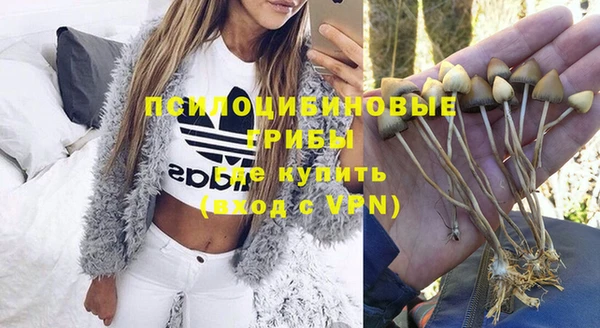 хмурый Михайловка
