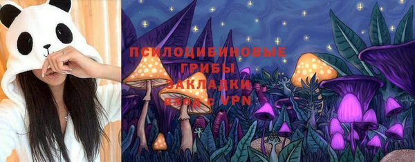 хмурый Михайловка