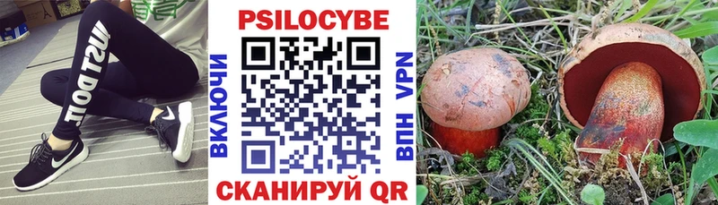 Галлюциногенные грибы Psilocybine cubensis маркетплейс Telegram Фокино